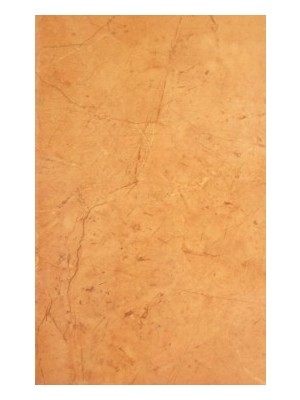 Csempe, Zalaker�mia, Zaragoza ZBK 648 25*40 cm I.o.