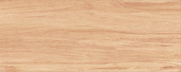 Csempe, Zalakermia Albero, ZBD 53004 20*50 cm I.o.