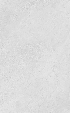 Csempe, KAI Group, Carpi Light Grey 5949, 25x40 cm