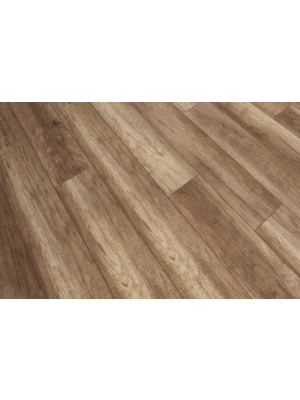 Classen, Adventure 4V Oak Doncaster laminlt padl, 8 mm