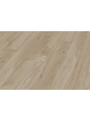Laminlt padl, Swiss Krono Tex, Standard, Winter Oak Nature ( tlgy ) 5261, 7 mm ODST