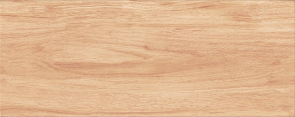 Padl�lap, Zalaker�mia, Albero ZPD 53004, 20x50 cm 