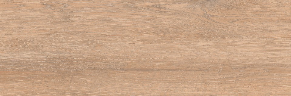 Padl�lap, Zalaker�mia, Vienna ZGD 62058, 20x60 cm 