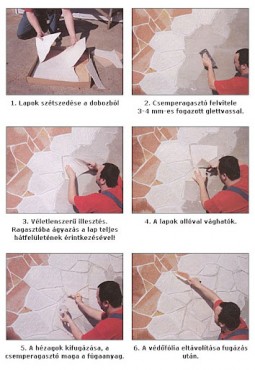 Delap, Term�sk�, Ciprus 50*50 cm I.o.