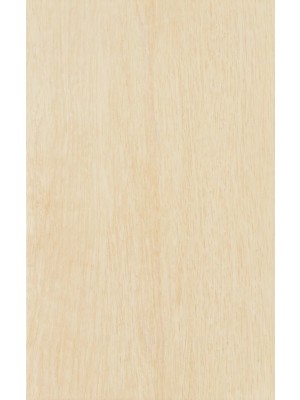 Zalakermia Legno ZBD 42035 falicsempe, vilgosbzs matt 25x40 cm, 1,5 m2/cs