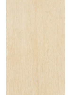 Zalakermia Legno ZBD 42035 falicsempe, vilgosbzs matt 25x40 cm, 1,5 m2/cs