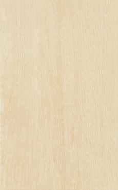 Csempe, Zalakermia, Legno ZBD 42035, matt, 25x40 cm