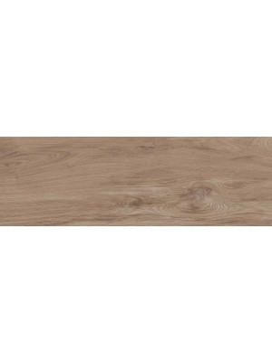 Padl�lap, Zalaker�mia Amazonas ZGD 62105, 20x60 cm