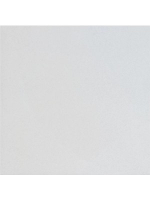 Padl�lap, Zalaker�mia Carneval ZRG 191, 30x30 cm, I.o.