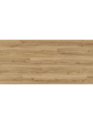 Laminlt padl, Kaindl FBI20TRAK2239RC, CLASSIC AQUA, Eiche Oak Cordoba Elegante, 8 mm, 1 svos