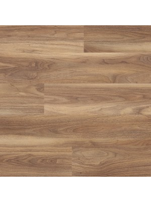 Lamin�lt padl�, Kaindl Masterfloor Standard 37293 Walnut Paran FBD5837293AH, 8 mm