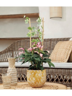 Nortene Echelle Bamboo Bambusz nvnyltra 90 x 25 cm bambusz