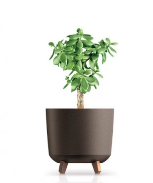Prosperplast Gracia Tubus Ecowood vir�gcser�p 300l, feh�r