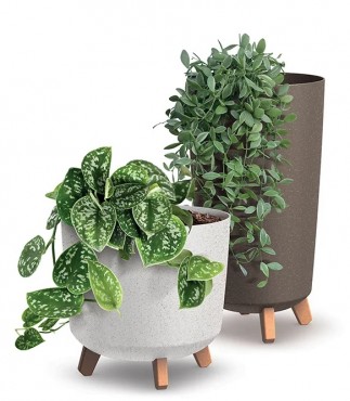 Prosperplast, Gracia Tubus vir�gcser�p 240, f�ld z�ld