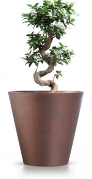 Prosperplast Tubus Corten vir�gcser�p 300c, ac�l