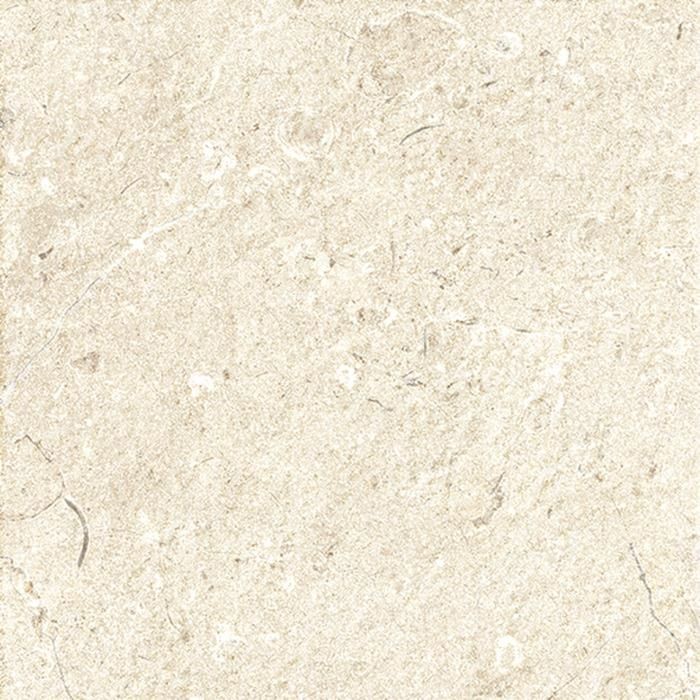 Padllap, Ragno Viaggi XT20 60x60 cm RD5U