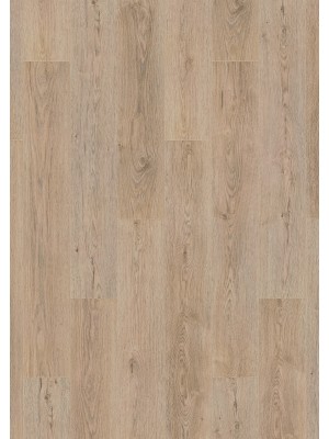 Lamin�lt padl�, Alpod Floor Expert BASIC + KROSNC-K485X0, K485 Oak Sterling Natural 2 s�vos, 8 mm