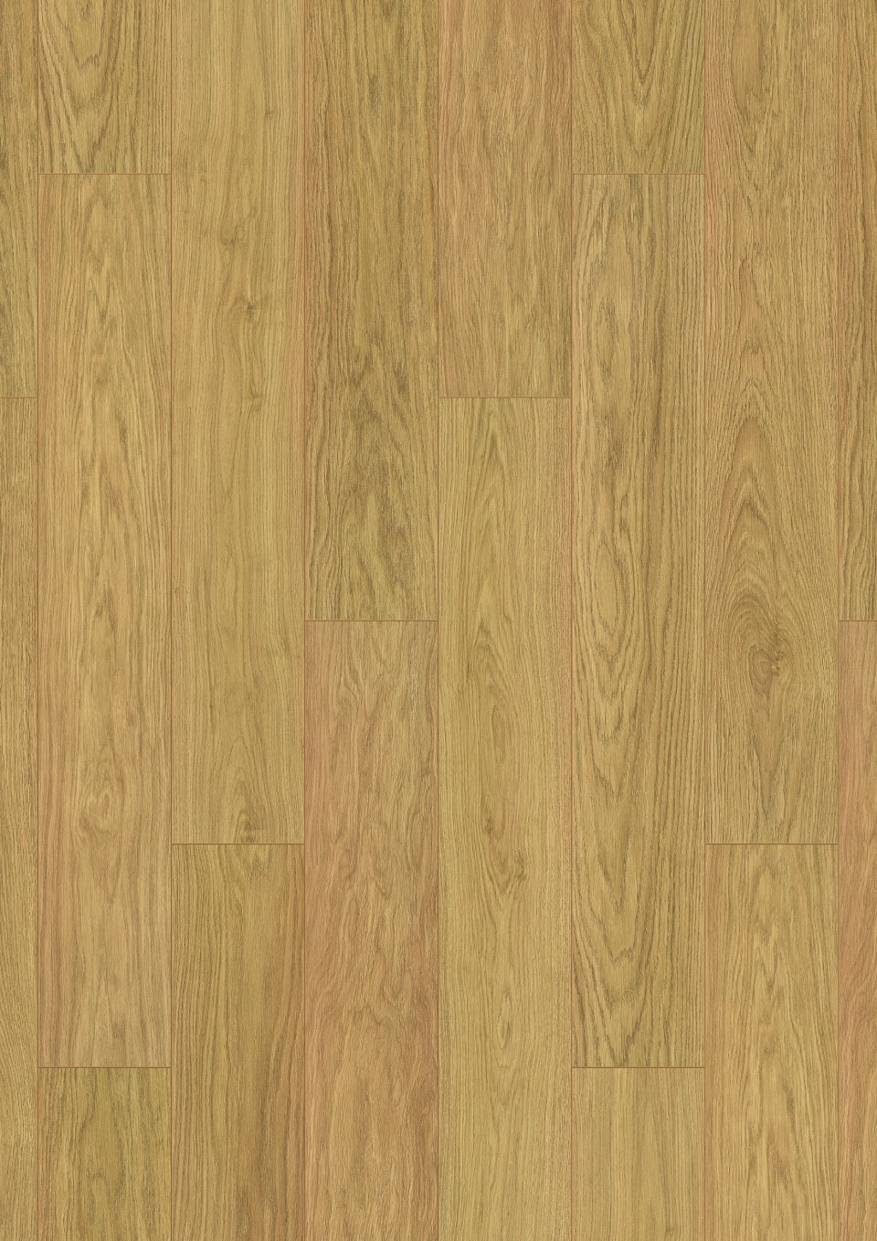 Lamin�lt padl�, Alpod Floor Expert, CLASSIC, KROSNC-K629X0, K629 Oak Fiordaliso Gold, 8 mm, 1 s�vos