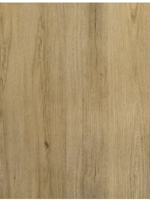SPC padl, Alpod, AQUA, Futura, FUTROB-1335/0, 1335 Oak Grenobla, 5/0,55 mm, 1 svos